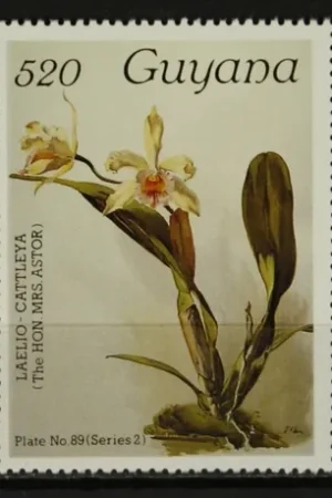 Guyana Michel 1866-1868 Popularny