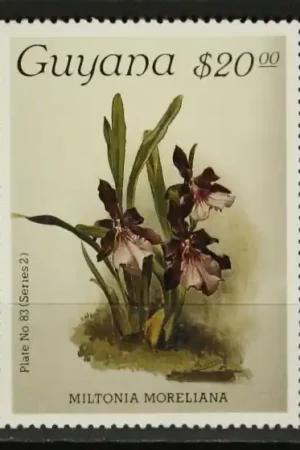 Najlepsza cena Guyana Michel 1868