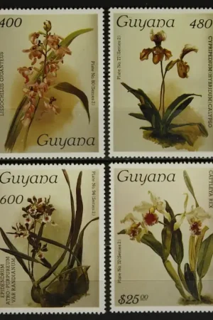 Guyana Michel 1906-1909 Tani