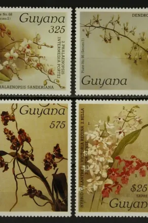 Oferta Guyana Michel 1966-1969