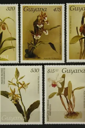 Guyana Michel 2155-2159 Rabat