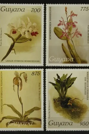 Guyana Michel 2160-2163 Popularny