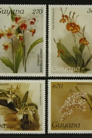 Nowość Guyana Michel 2240-2243