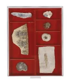 Najlepsza cena Lindner 2402 Verzamelbox standaard