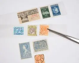 Lindner - Hawid nr. 7061 wit 26 x 41 mm Popularny