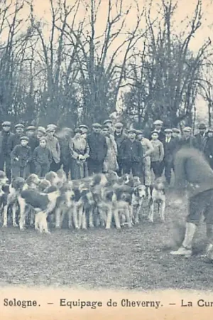Kup teraz Frankrijk En Sologne Equipage de Cheverny Bois de Cheverny La Curee au Carrefour Malesherbes France Europa Herten Jacht Honden HC58908