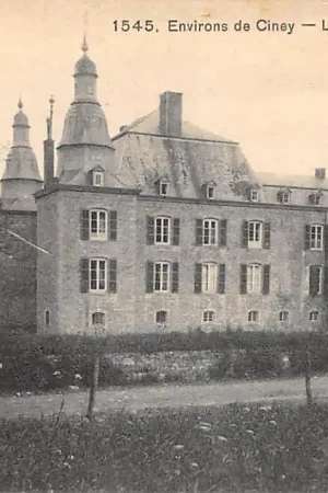 België Environs de Ciney Le Chateau de Bormenville Havelange Kasteel Europa HC58671 Zwrot pieniędzy
