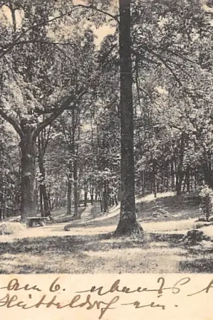 Darmowa dostawa Oostenrijk Allentsteig N. Oest. Zwettl Schloss park Kasteel Österreich Austria Europa HC58666