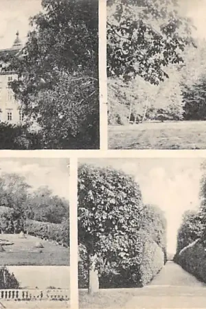 Oostenrijk Schloss Ebenfurth Wiener Neustadt Kasteel Österreich Austria EuropaHC58664 Rabat