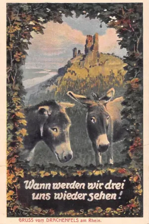 Duitsland Schloss Drachenfels am Rhein Wann werden wir drei uns wieder sehen! Kasteel Humor: zwei Esel Deutschland Europa HC58523 Nowość
