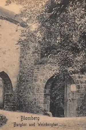 Duitsland Blomberg i. Lippe Burghof Burgtor und Weibergtor Kasteel Deutschland Europa HC58367 Tylko dziś