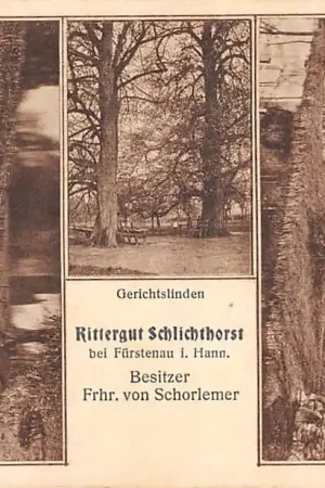 Duitsland Fürstenau in Hann Rittergut Schlichthorst Schloss Kapelle Gerichtslinden Kasteel Deutschland Europa HC58325 Premium