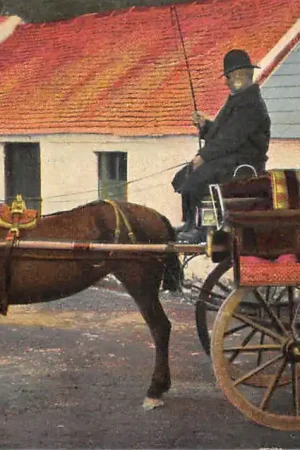 Ierland Irish Jaunting Car Paard en wagen Boerderij Ireland Vintage Europa HC58280 Najlepsza cena