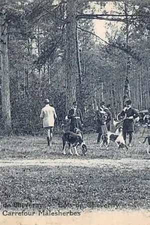 Wysoka jakość Frankrijk En Sologne Equipage de Cheverny Bois de Cheverny La Curee au Carrefour Malesherbes France Europa Herten Jacht Honden HC58240