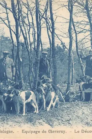 Najlepsza cena Frankrijk En Sologne Equipage de Cheverny La Decouplage France Europa Herten Jacht Honden HC58239