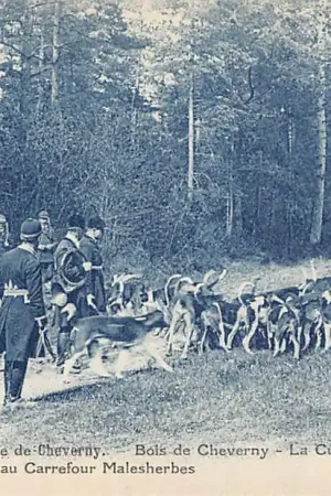 Szybka dostawa Frankrijk En Sologne Equipage de Cheverny Bois de Cheverny La Curee au Carrefour Malesherbes France Europa Herten Jacht Honden HC58238