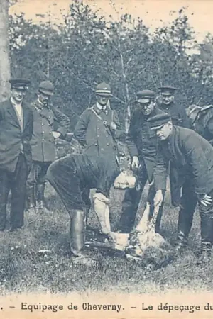 Zwrot pieniędzy Frankrijk En Sologne Equipage de Cheverny Le depecage du Sanglier France Europa Herten Jacht Honden HC58237