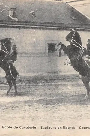 Frankrijk Saumur (M.-et-L.) Ecole de Cavalerie Sauteurs en liberte Courbettes Militair Soldaten te paard France Europa HC58230 Kup teraz
