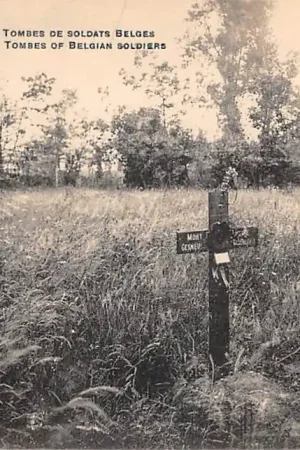 Ekspresowa dostawa België Houthulst Graven van Belgische soldaten Tombes of Belgian soldiers 1914-1918 WO1 Diksmuide Vlaanderen Europa HC58224