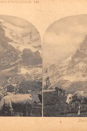 Zwitserland In de hoog Alpen Suisse Aux Alpes Stereokaart 1900 Schweiz Switzerland Europa HC57024 Oferta limitowana
