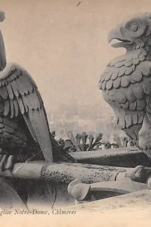 Zwrot pieniędzy Frankrijk Eglise Notre-Dame Chimeres Waterspuwers Kerk France Europa HC57648