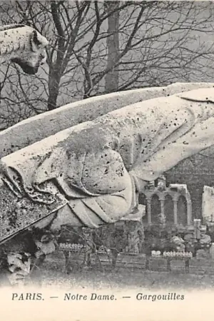 Frankrijk Paris Eglise Notre-Dame Gargouilles Waterspuwers Kerk France Europa HC57646 Wysoka jakość