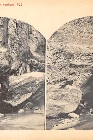 Oryginalny Duitsland Aan den oever' Vrouw doet haar kousen uit om te kunnen pootjebaden of zwemmen Stereokaart 1900 Deutschland Europa HC57020