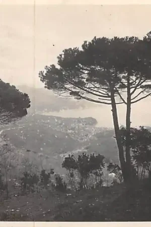 Italië Portofino Vetta 450 m s.m. Riviera di Lev. Grand Hotel Grand Restaurant Panorama su Golfo Tigullio Panorama Italia EuropaHC56793 Ekspresowa dostawa