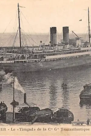 Autentyczny Algerije Alger Le Timgad de la Cie G Transatlantique Scheepvaart Schepen Afrika Frankrijk France HC56551