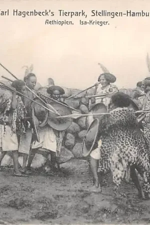 Kup teraz Duitsland Stellingen - Hamburg Carl Hagenbeck's Tierpark Aethiopien Isa-Krieger Dierentuin Zoo Deutschland Europa HC56739