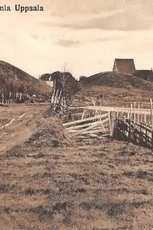Oryginalny Zweden Uppsala Kungshogarne vid Gamla Sverige sweden Europa HC56679