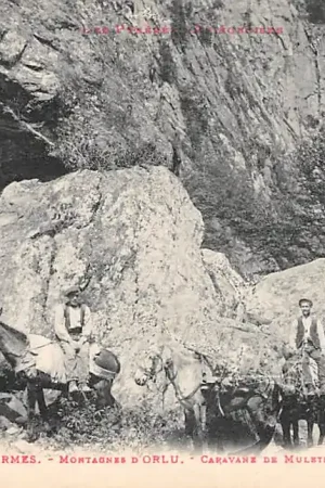 Oferta limitowana Frankrijk Ax-les-Thermes Montagnes d'Orlu de Mulets montant au Lac de naguilles France Europa HC56678