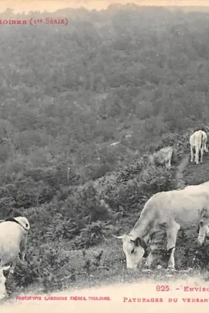 Frankrijk Ax-les-Thermes Paturages du versant Meridional du Col de Chioula France Europa HC56677 Autentyczny