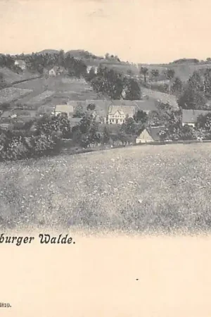 Duitsland Detmold Berlebeck Gruss aus dem Teutoburger Wald 1900 Deutschland Europa HC56106 Rabat