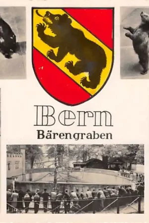 Zwitserland Bern Barengraben Zoo Tiergarten Dierentuin Beren Schweiz Switzerland Europa HC53623 Darmowa dostawa