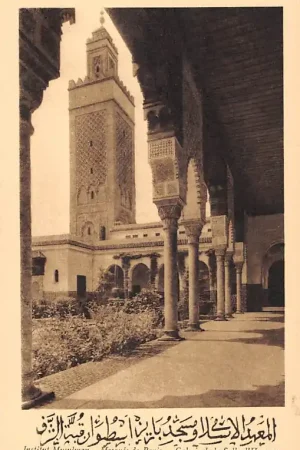 Frankrijk Paris Institut Musulman Mosquee de Paris Galerie de la Salle d'Honneur Moskee France Europa HC53601 Kup teraz