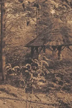 Oryginalny België Woluwe-Saint-Lambert Pensionnat du Sacre Coeur du Lindthout Kiosque Europa HC53335