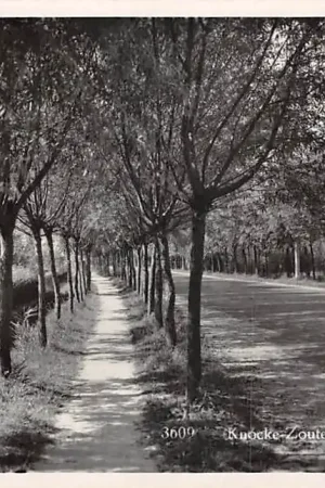 België Knokke Knocke Zoute Une jolie promenade 1935 Type fotokaart Europa HC53276 Rabat