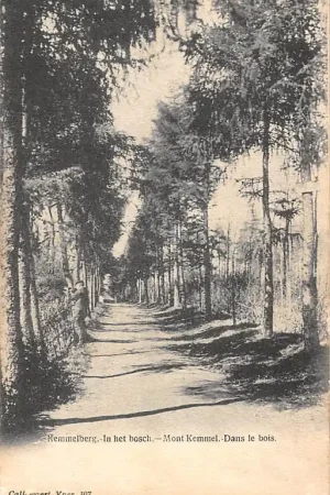 Nowość België Remmelberg In het bosch 1900 Europa HC53196