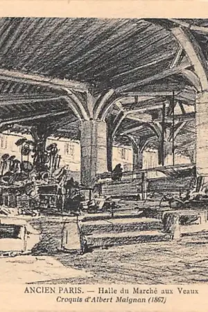 Autentyczny Frankrijk Ancien Paris Halle du Marche aux Veau (18670 France Europa HC52492