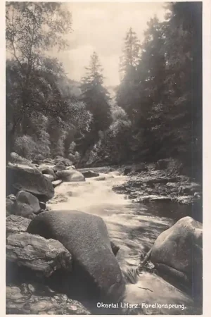 Nowość Duitsland Okertal i. Harz Forellensprung Deutschland Europa HC51374