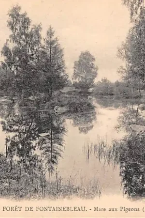 Frankrijk Foret de Fontainebleau Mare aux Pigeons (Franchard) France Europa HC51371 Premium