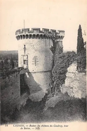 Frankrijk Chinon Ruïnes du Chateau du Coudry, tour de Boissy Indre-et-Loire France Europa HC51368 Niska cena