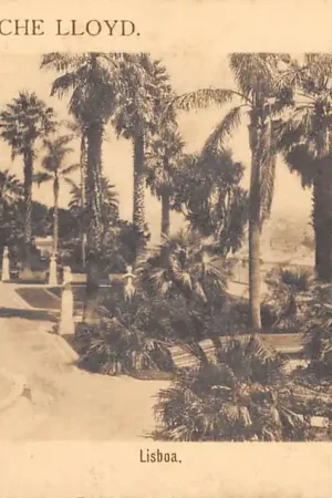 Portugal Lisboa Reclame Rotterdamsche Lloyd Schepen Scheepvaart HC51287 Kup teraz