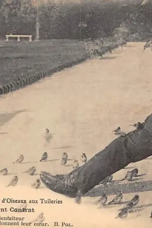 Frankrijk Paris Le Charmeur d\\u2019Oiseaux aux Tuileries Le charmant Contrat France Europa HC51031 Bezpieczna płatność