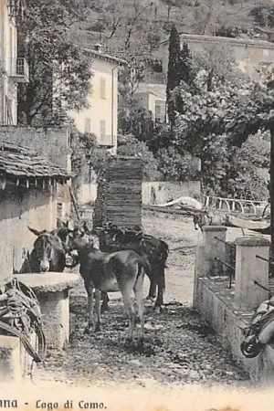 Italië Lago di Como Osteria pressa Varenna 1914 Ezels Italia Europa HC50977 Bezpieczna płatność