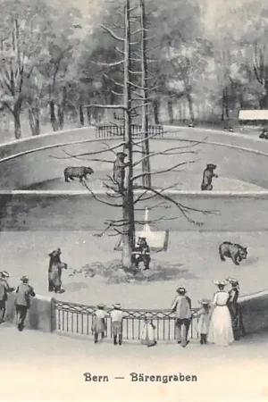 Wysoka jakość Zwitserland Bern Barengraben Berenkuil Dierentuin Zoo Schweiz Suisse Switzerland Europa HC49228