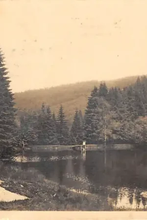 Duitsland Oberhof Thüringen Silberteich 1913 Deutschland Europa HC49214 Oryginalny