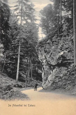 Promocja Duitsland Bad Tabarz i. Thüringen Im Felsenthal bei Tabarz Deutschland Europa HC49172