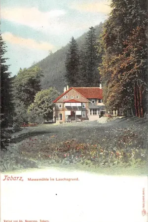 Popularny Duitsland Bad Tabarz i. Thüringen Massemuhle im Lauchagrund Molen Deutschland Europa HC49044